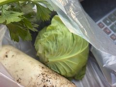-大自然农场蔬菜草莓采摘园
