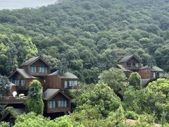 -杭州开元森泊度假乐园