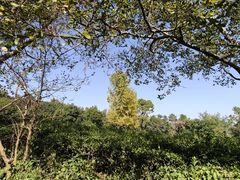 -虞山风景区