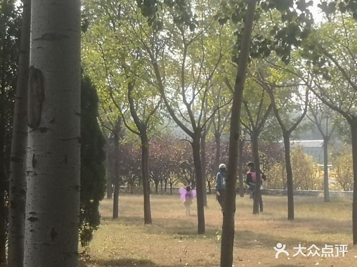 坝河休闲公园图片