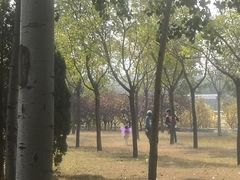 -坝河休闲公园