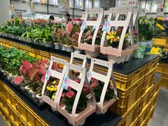 -鹿岛会员店(熙地港店)