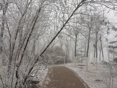 -南开大学滨海学院