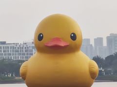 -深圳人才公园