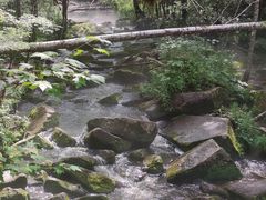 -汤旺河林海奇石景区