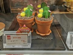 多肉杯蛋糕-85度C(上海兰溪二店)