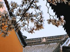 -灵谷景区