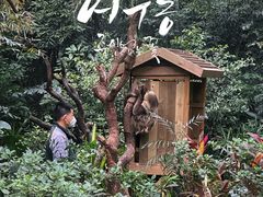 -广州长隆野生动物世界