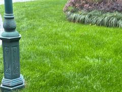 -上海闵行星河湾酒店