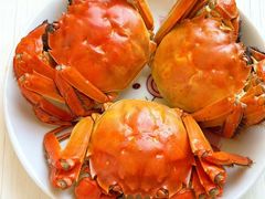 -黄记大闸蟹专卖店·活蟹·醉蟹