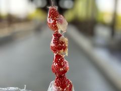 -锦溪古镇