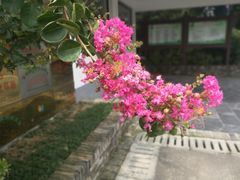 -嬉乐湾休闲旅游区