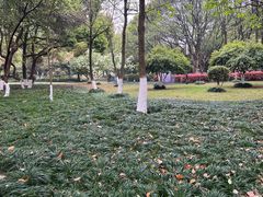 -孝子祠公园