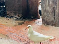 -长鹿旅游休博园