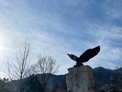 -北京鹫峰国家森林公园