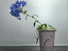 -大鱼·养生·禅洗头疗·按摩SPA