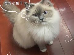 -安安宠物医院(佳林路分院)