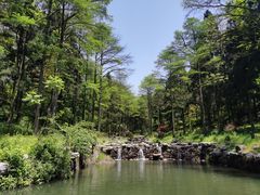-溪口商量岗景区