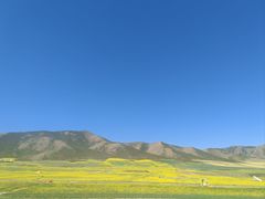 -扁都口生态休闲旅游区