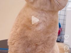 -猫苑生活馆