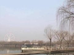 -石家庄市植物园