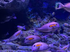 -成都浩海立方海洋公园