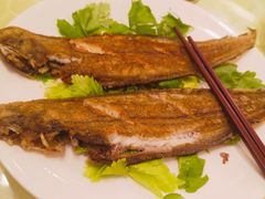 -德兴海鲜渔港(辉煌大厦店)