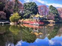 -三塔倒影公园