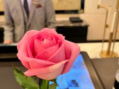 -东海朗廷酒店秀·Silk自助餐厅