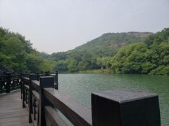 -白马涧龙池景区