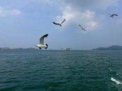 -刘公岛景区