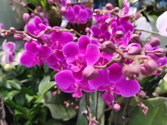 -三旗百汇商品城