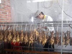 -石岐乳鸽村(桥观坊南四巷店)