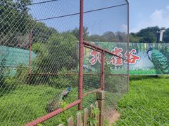 -沈阳森林动物园