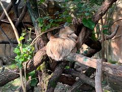 -杭州野生动物世界