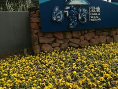 -白鹭湾湿地公园