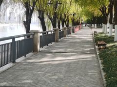 -太平河公园