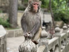 -黔灵山公园