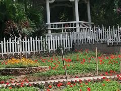 -晓港公园