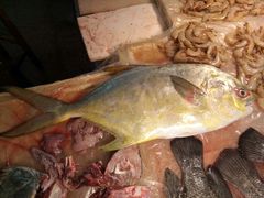 -阳江市第一市场