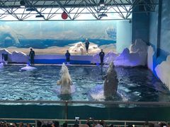 -秦皇岛乐岛海洋王国