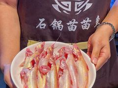 -石锅苗苗鱼(武汉首店)