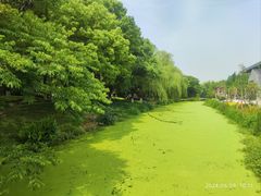 -昆山城市生态森林公园