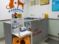 -美美宠物诊疗中心·异宠·骨科(滨江东信分院)