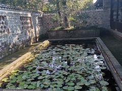 -八大山人梅湖景区