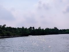 -东寨港红树林旅游区