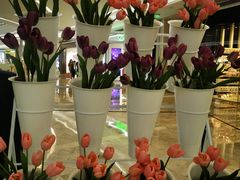 -KK ONE(京基滨河时代店)
