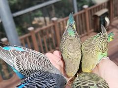 -燕塞湖鸟语林景区