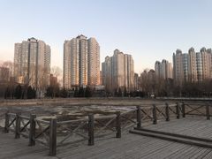 -望湖公园