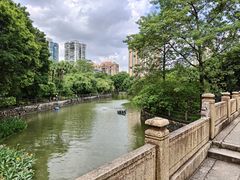 -晓港公园